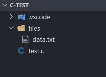 C 读取文件项目 1