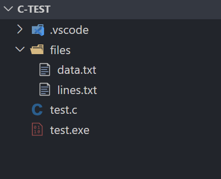 C 读取文件项目 2