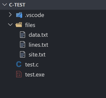 C 读取文件项目 3
