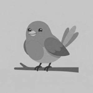 grayscale() 实现黑白图像