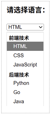HTML optgroup 标签示例效果2