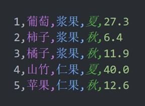 处理后的 CSV 文件