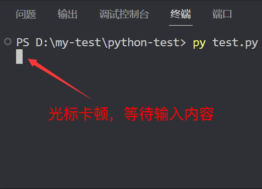 Python 输入示例
