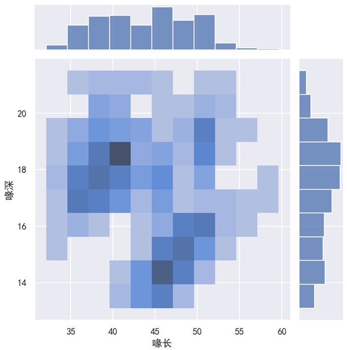 Seaborn 双变量图 kind='hist'